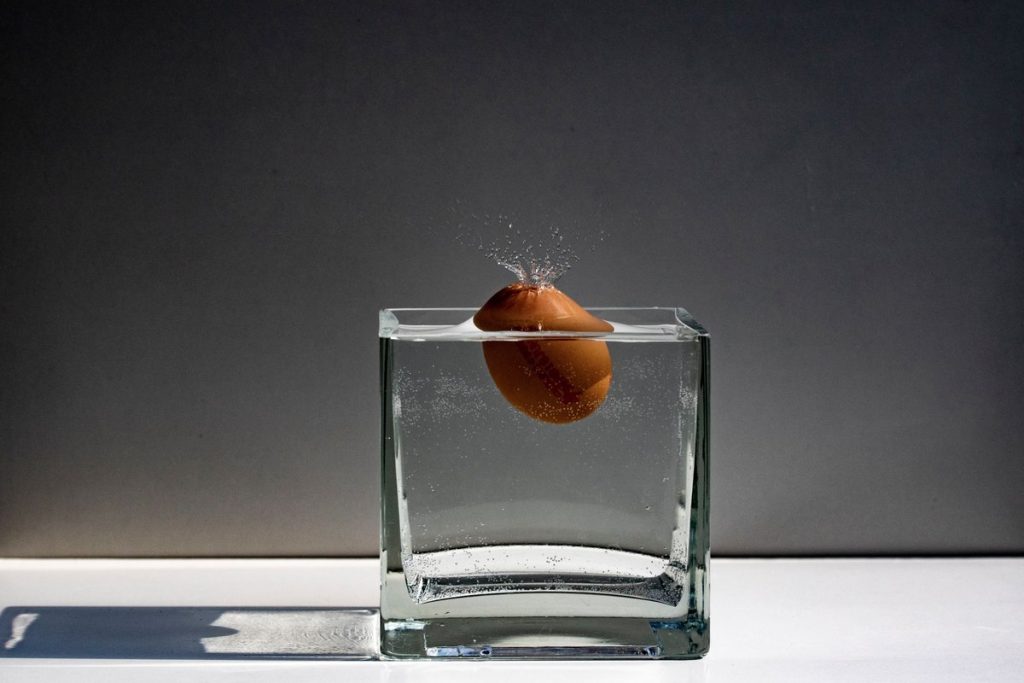 oeuf flotte