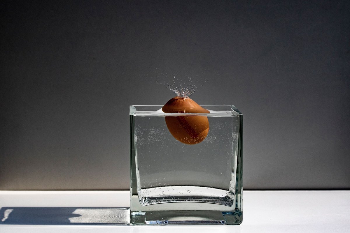 oeuf flotte